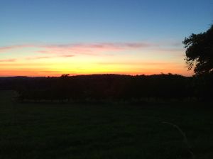 Sunset on our way home from our dinner with Matt and Amanda at Ian and Sara's place.