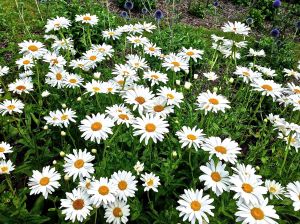 Entrance way to Chateau Mouton Rothschild 