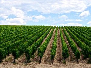 A lot of work was done here for this.