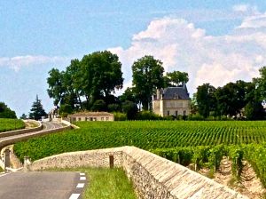 What a beautiful site driving up to Chateau Latour