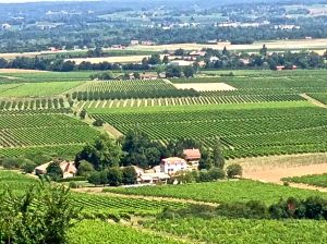 I know you can see Bergerac from here! Gorgeous Views!