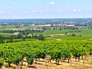 And look at their back yard view!