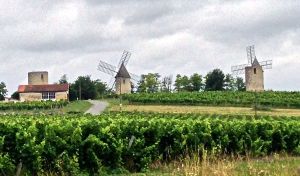 Pretty countryside as we head to St. Emilion!