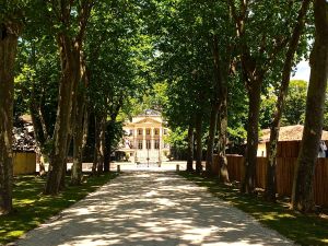 Chateau Margaux in the Medoc area of Bordeaux. One of five premier grand cru vineyards recognized since 1855.