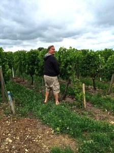 Does your wine taste any different recently ???