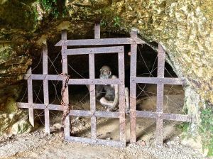 He must have been a baaaaddddd Troglodyte!! 