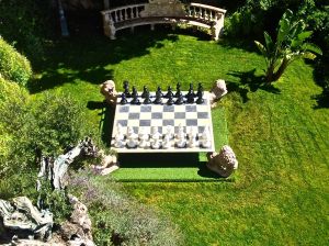 Game of chess, anyone?