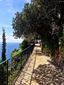 Here is our first view as we "START" walking toward the Hotel lobby. LOL!