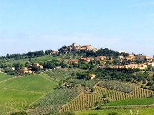 A view of "old" Panzano from Villa La Barone. Vineyards and olive groves everywhere. 