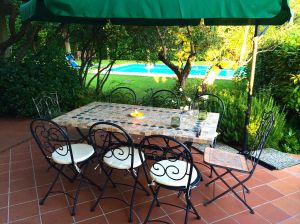 Getting the table ready for our first "alfresco" meal on our patio overlooking our pool.  