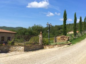 We bought red wine and a wonderful rose wine from this Castellini di Radda vineyard in Radda in Chianti.