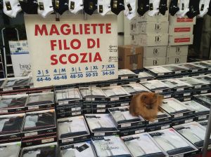 I don't read Italian, but I think the sign says the dog is for sale at the Greve market.  