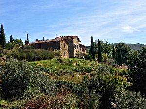 Back yard of the house for sale. Looking good!