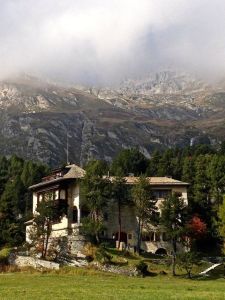 Imagine if you had this view every day. 