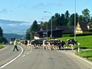 WAIT!!!! We have a little roadblock ahead of us!